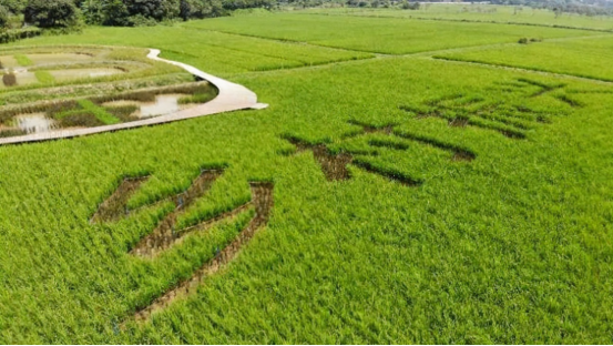 农业板块不着急