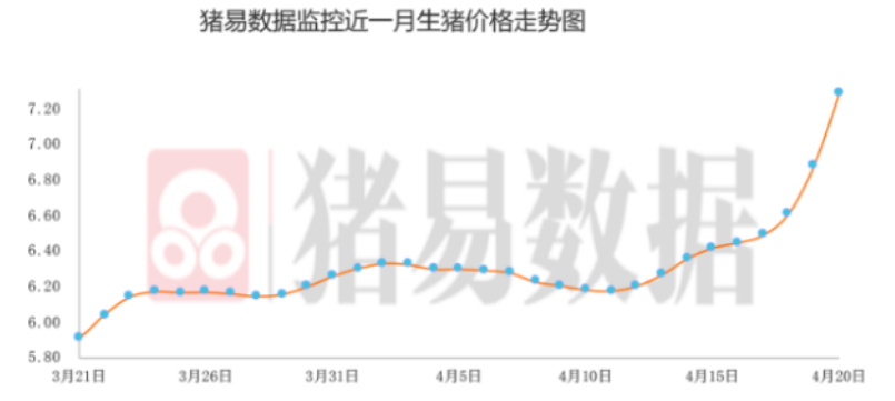 肉价环比上涨，“二师兄”咸肉翻身有望？