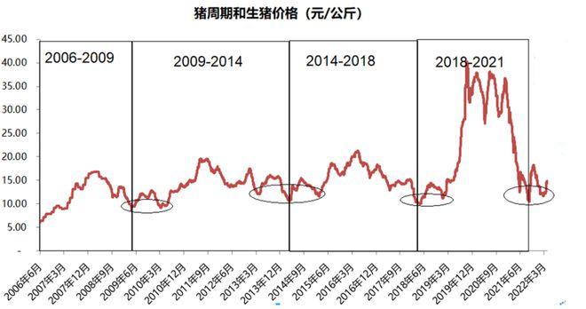 拿什么拯救你？我的落难二师兄猪肉股！