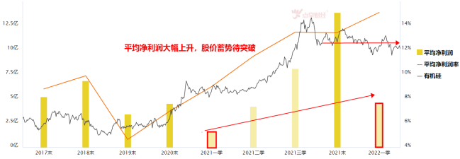 大反弹后的有机硅，还能继续狂欢吗？