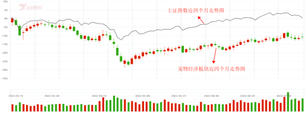 养宠人群速来集合！！！当养宠物成为潮流！宠物经济迎来机会？