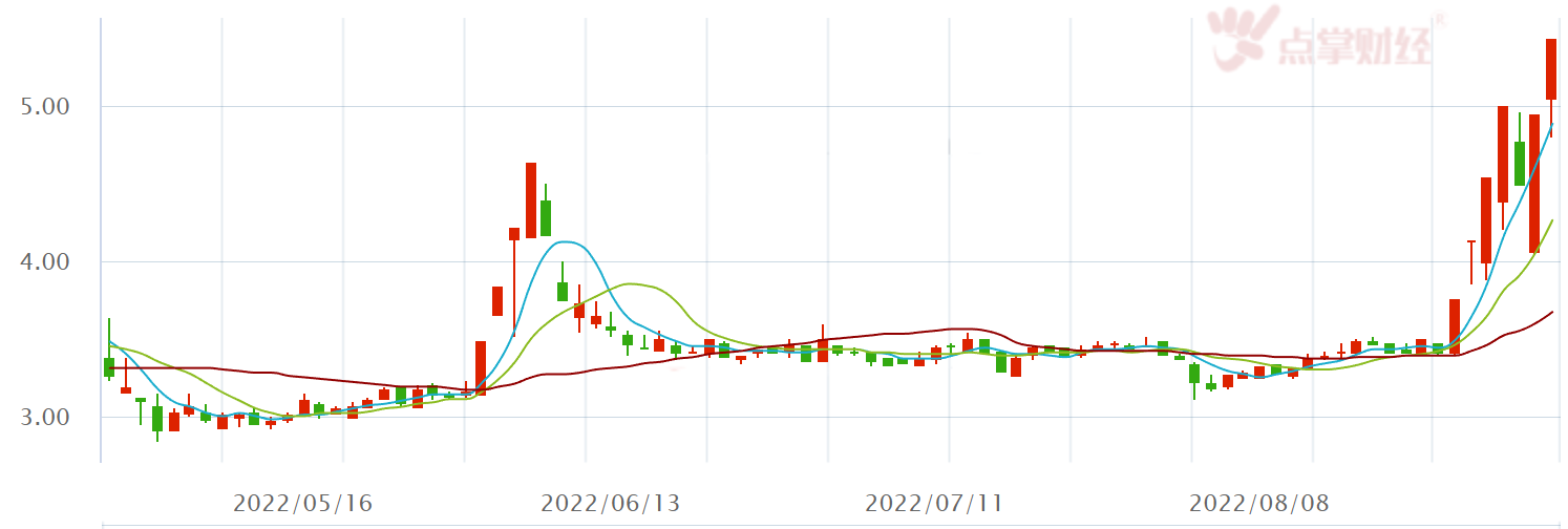 7天6板！黑芝麻能炒这么红，到底炒的啥？