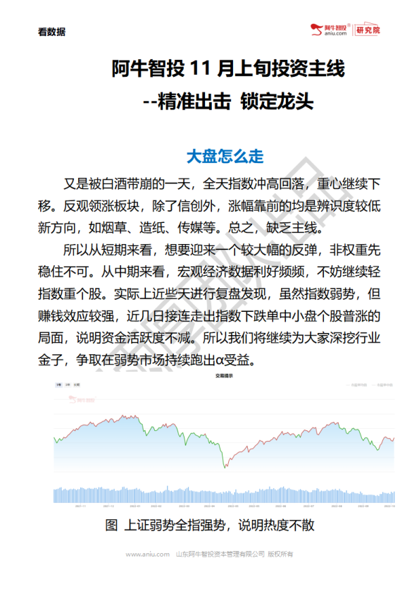 量化团队：精选行业分析与案例解析 20221031